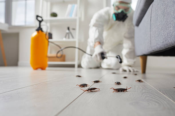 Commercial Kitchen Cockroach Control in Fox Chapel